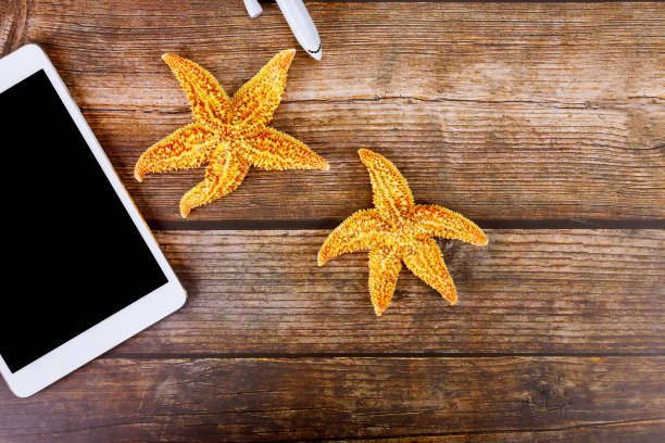 Top 5 Must-Have Travel Gadgets for Every Adventurer”